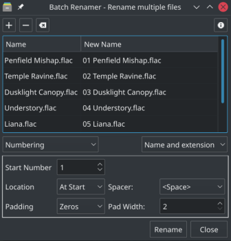 Bionic Batch Renamer - Service menu para KDE (19)