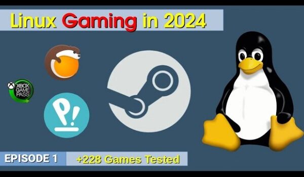 Linux Gaming in 2024, probando 228 juegos de Steam